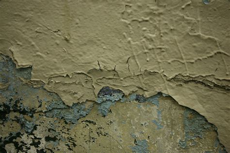 How to Fix Peeled Paint on Wall: A Journey Through Time and Texture